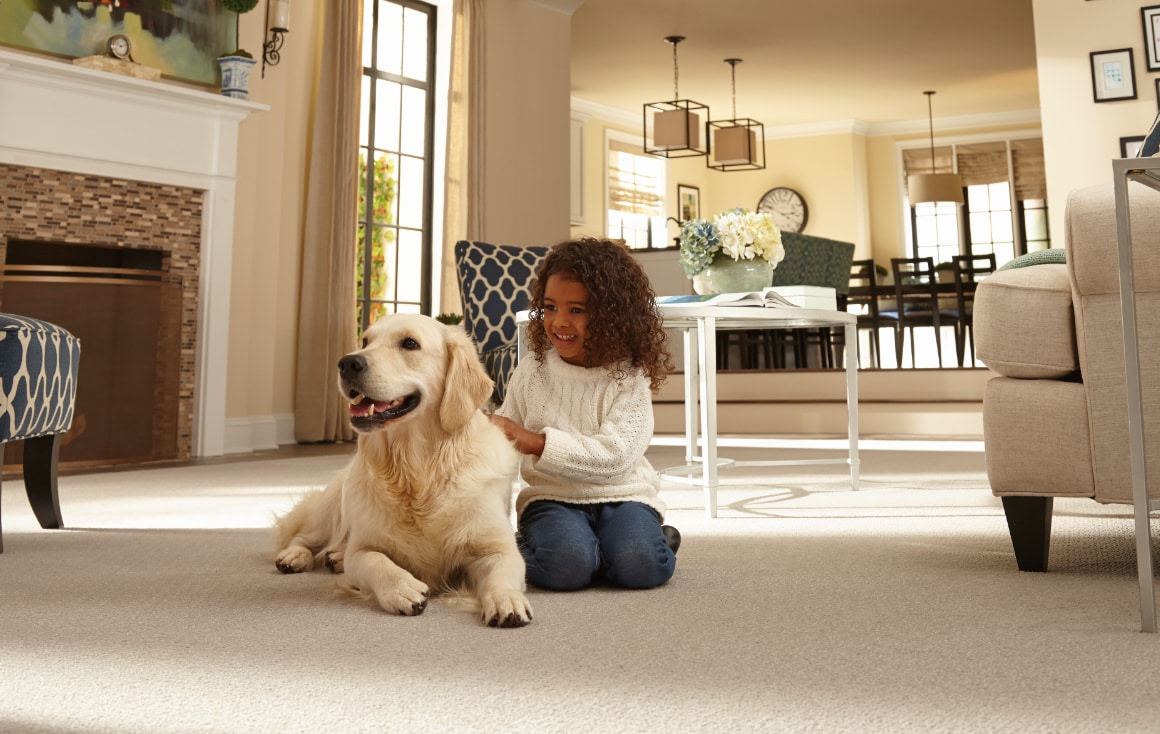 Best carpet for pets dogs cats