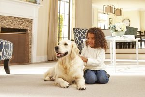 Choosing The Best Carpet For Pets