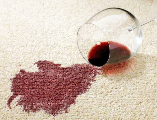 How to Get Stains Out of Carpet