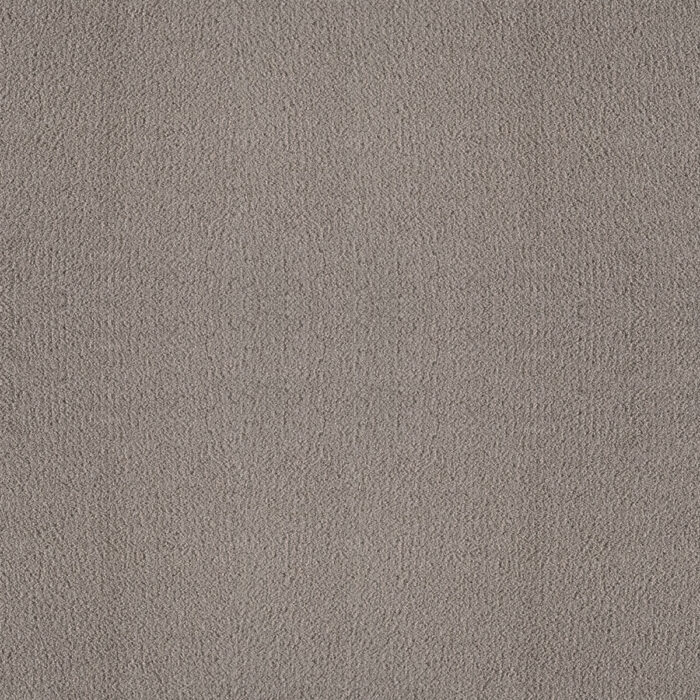 Timeless Treasures Muted Mocha Carpet